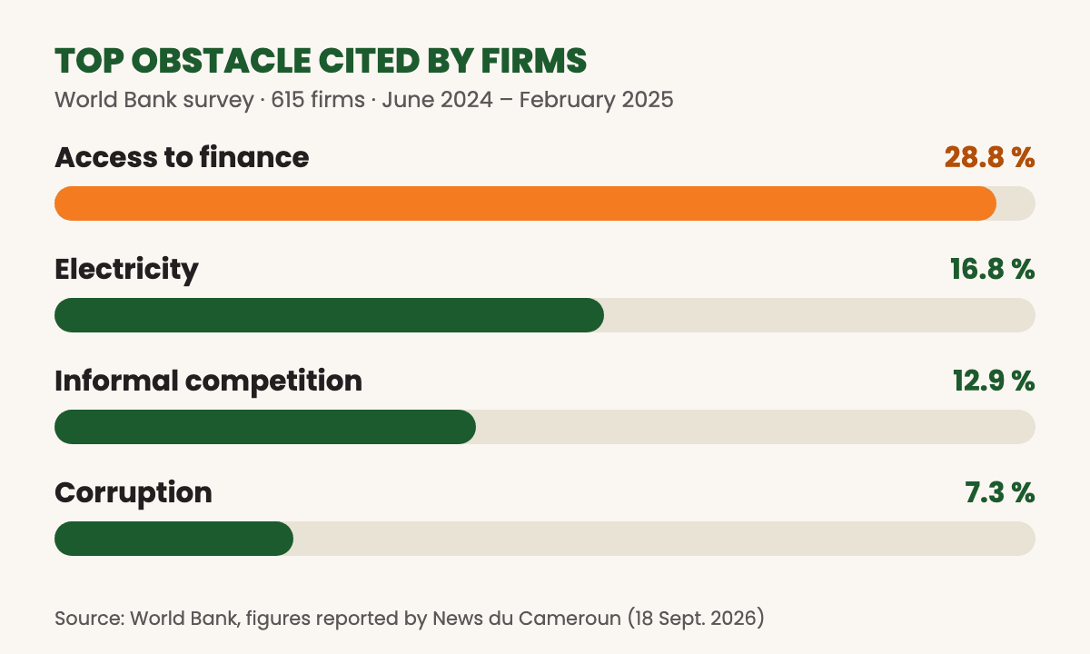 Top obstacle cited by firms: finance 28.8%, electricity 16.8%, informal competition 12.9%, corruption 7.3%
