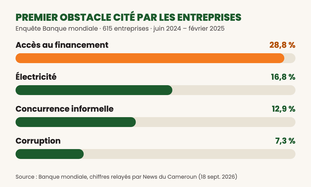 Premier obstacle cité par les entreprises : financement 28,8 %, électricité 16,8 %, concurrence informelle 12,9 %, corruption 7,3 %